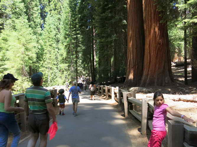 USA_2013-07-07 11-38-16_IMG_1126